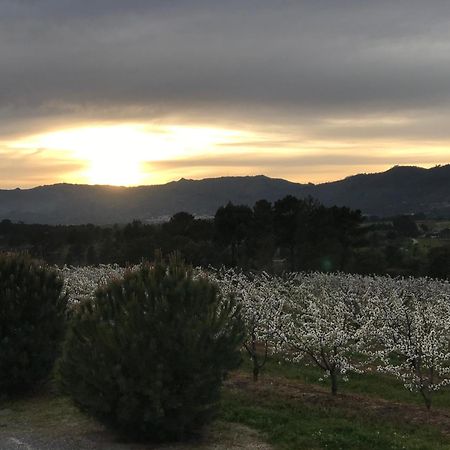 Quinta Da Porta - Solar De Vale De Prazeres 빌라 외부 사진