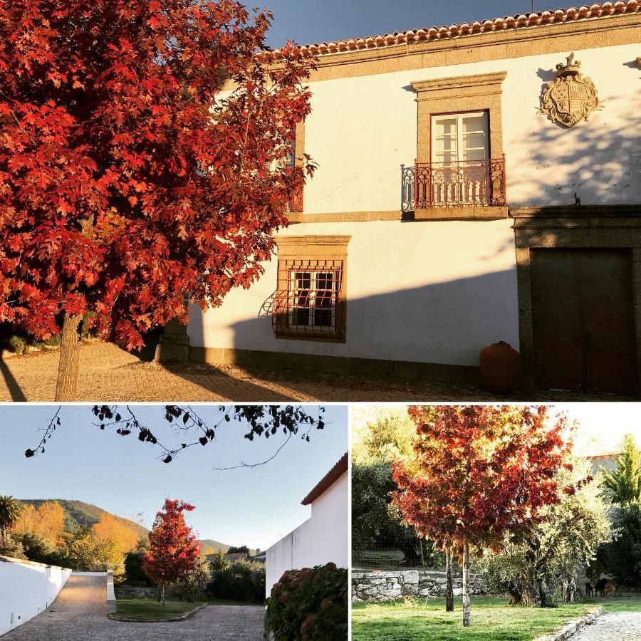 Quinta Da Porta - Solar De Vale De Prazeres 빌라 외부 사진
