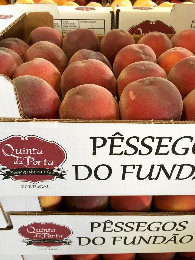 Quinta Da Porta - Solar De Vale De Prazeres 빌라 외부 사진
