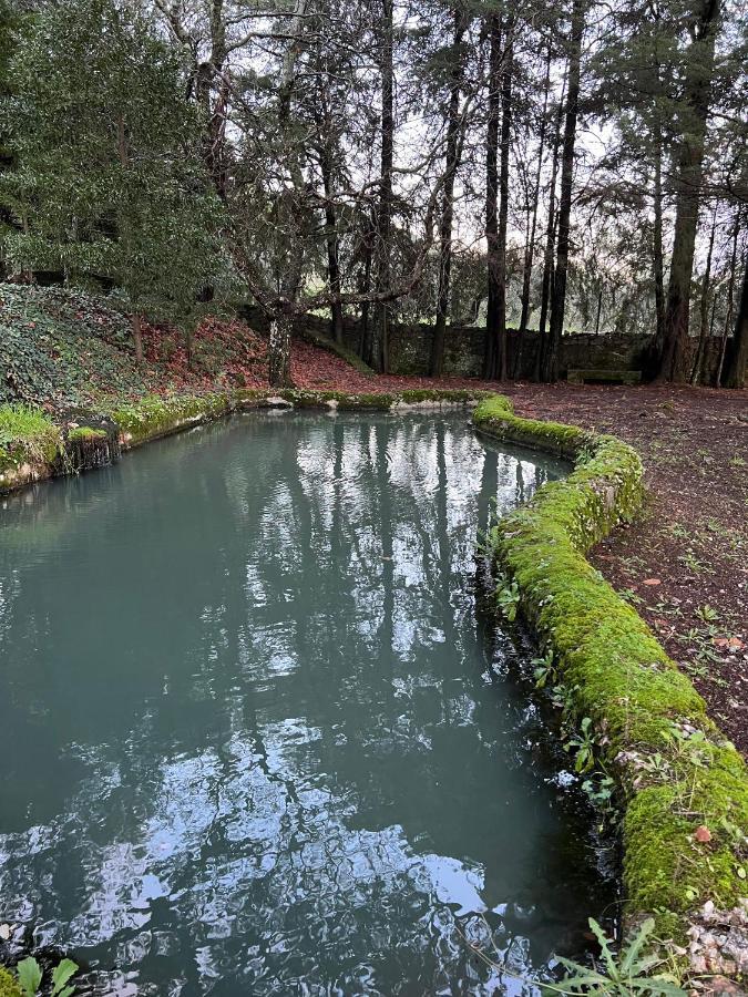 Quinta Da Porta - Solar De Vale De Prazeres 빌라 외부 사진