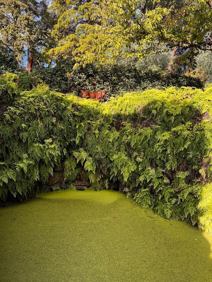 Quinta Da Porta - Solar De Vale De Prazeres 빌라 외부 사진