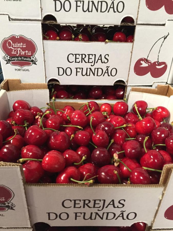 Quinta Da Porta - Solar De Vale De Prazeres 빌라 외부 사진