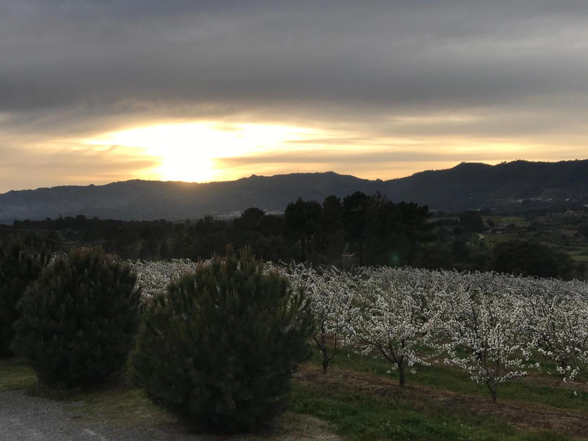 Quinta Da Porta - Solar De Vale De Prazeres 빌라 외부 사진
