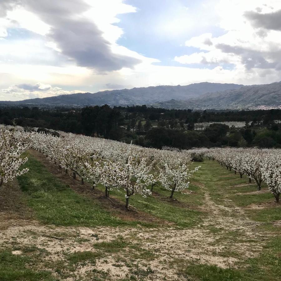 Quinta Da Porta - Solar De Vale De Prazeres 빌라 외부 사진