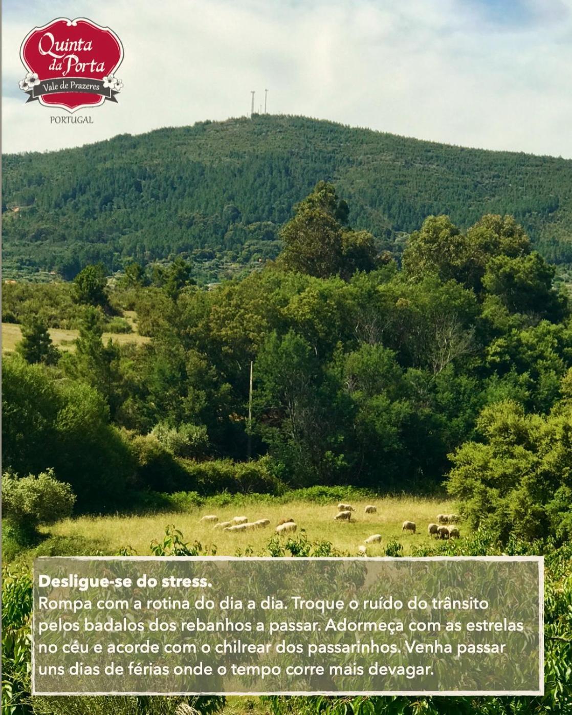 Quinta Da Porta - Solar De Vale De Prazeres 빌라 외부 사진